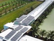 Trại gà giống Dũng Mười Hai