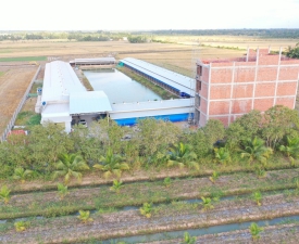 HỆ THỐNG CHUỐNG TRẠI QUY MÔ