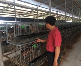 NHÀ NÔNG TẬN TÂM, NHIỀU KINH NGHIỆM 