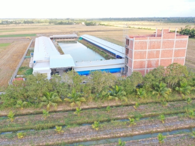 TRANG TRẠI GÀ DŨNG 12